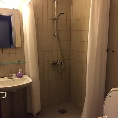 فندق Svanegarden 4*