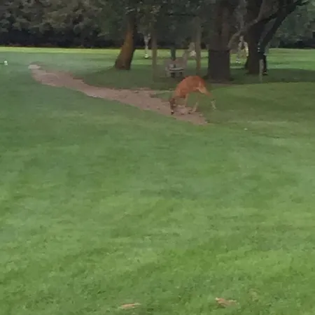 Svanegården Hotel 4*