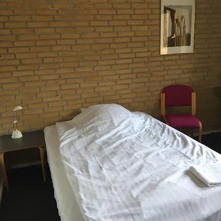 فندق Svanegarden 4*