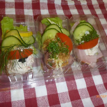호텔 Svanegarden