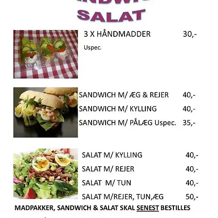 Svanegarden فندق