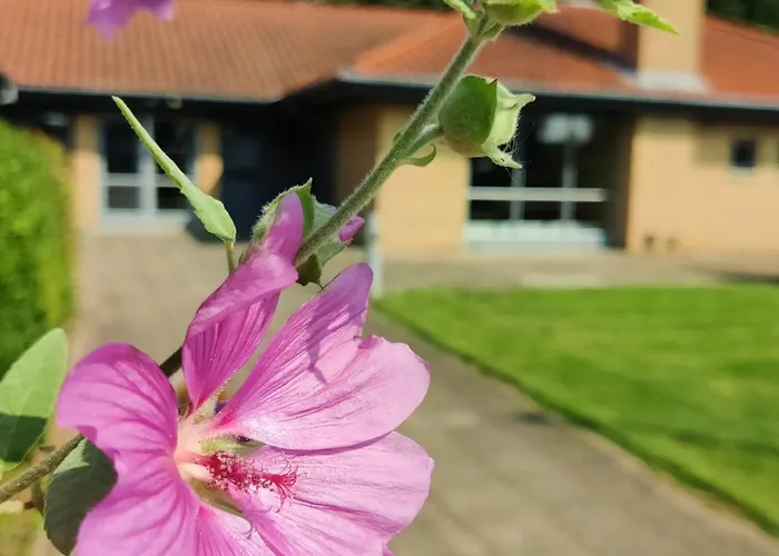Svanegarden Hotel