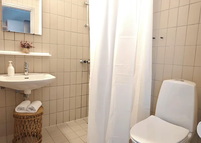 Hotel Svanegarden 4*