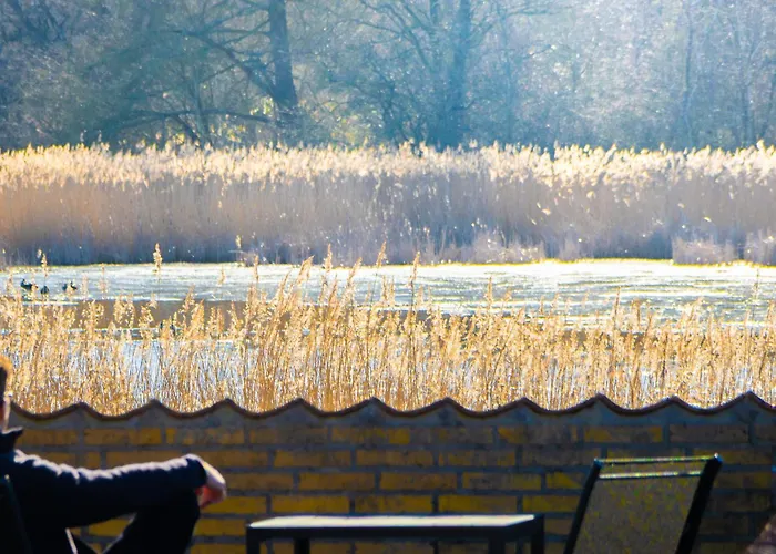 Hotel Svanegarden 4*