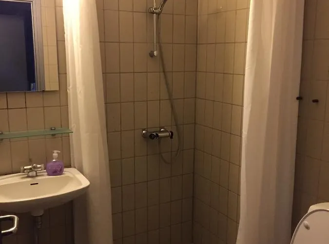 Hotel Svanegarden 4*