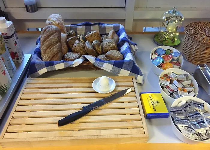 Hotel Svanegarden 4*
