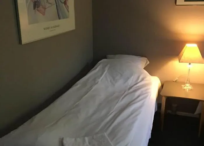 Hotel Svanegarden 4*
