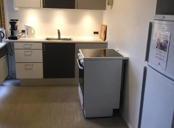 Hotel Svanegarden 4*